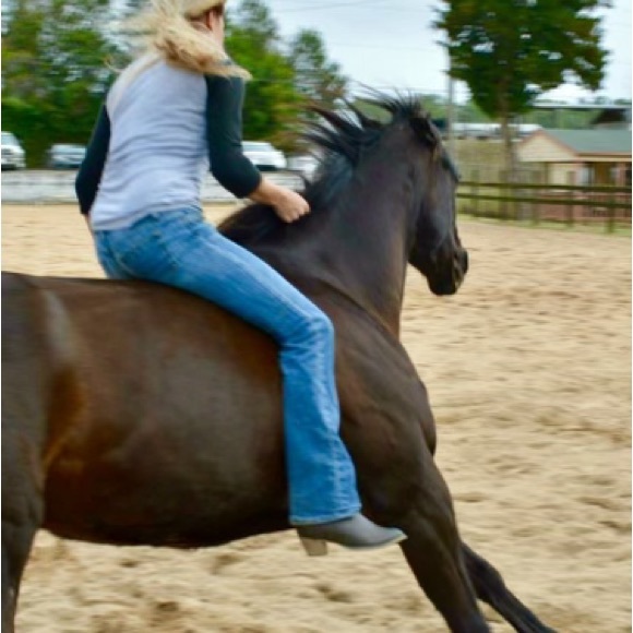 Meet your Posher, Ren?e - Picture 6 of 11